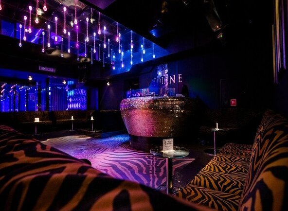 Shine Club Kraków