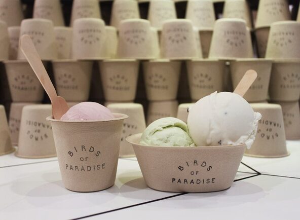 Birds of Paradise Gelato Boutique