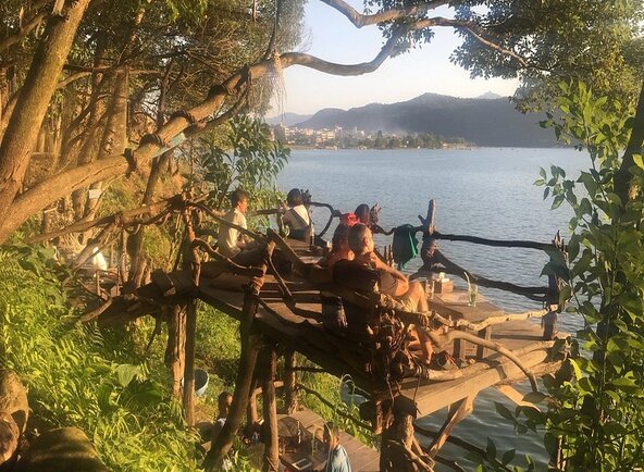 Krazy Gecko https share.google images 8Da7uM0jqjsKyR901