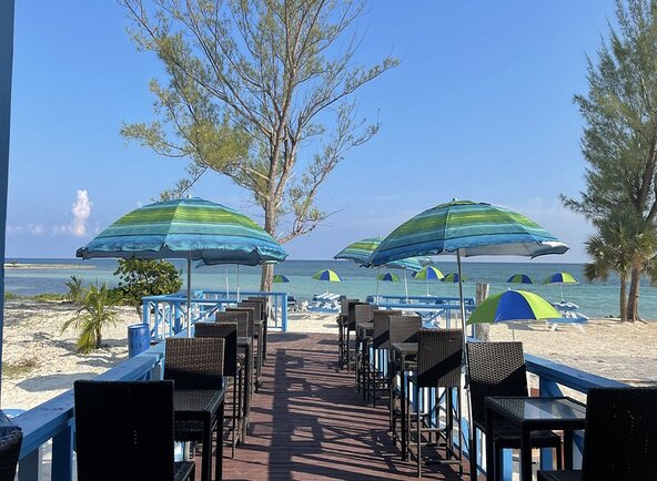 Terrys Conch Salad Stand https share.google images yXUpwUALXdXcgUNUs