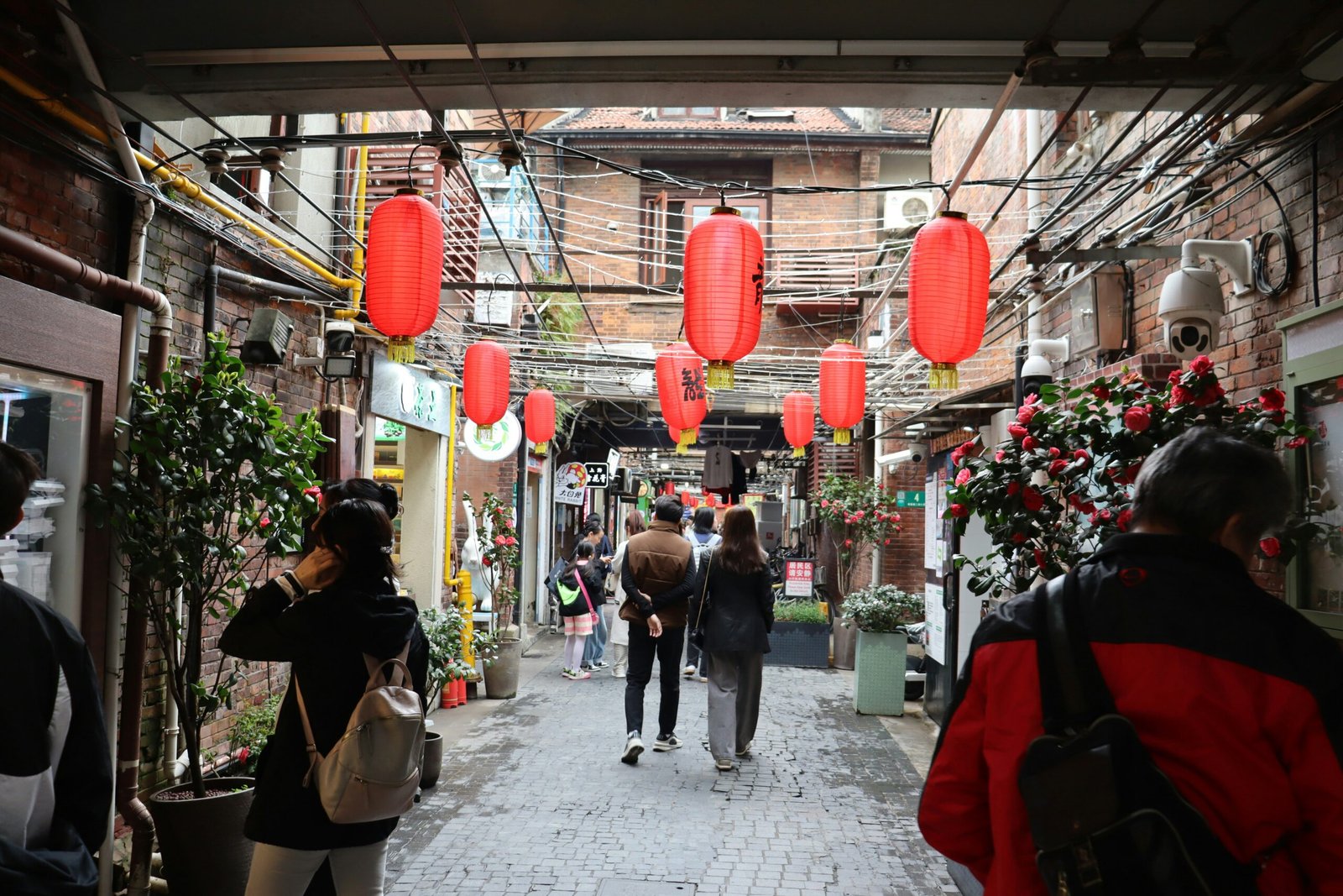 alicja ziajowska WLHkORWHwCw unsplash scaled 1