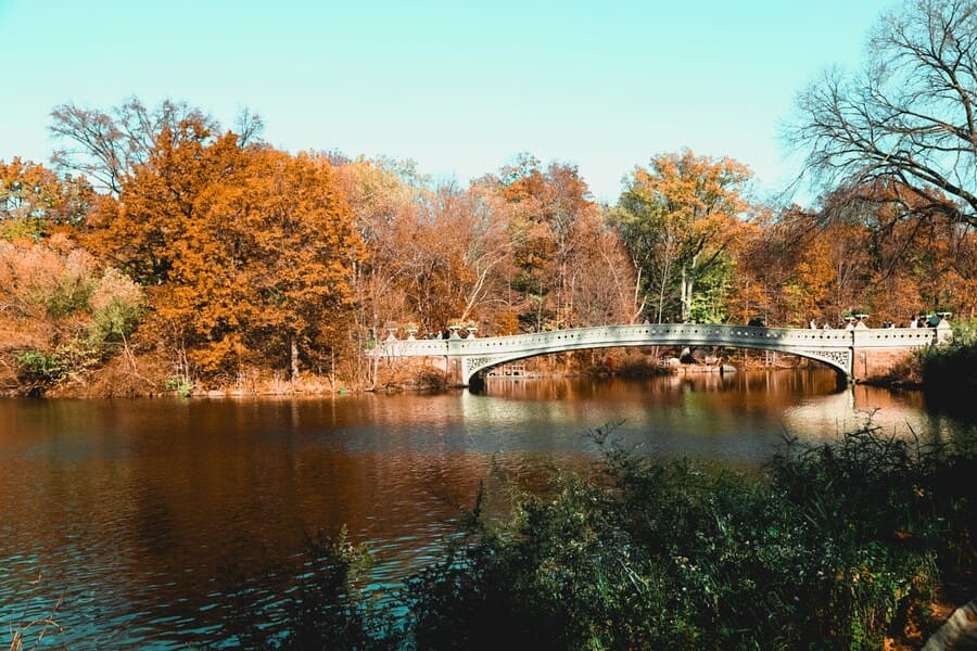 jess sanchez ZcceBh3cF0 unsplash1