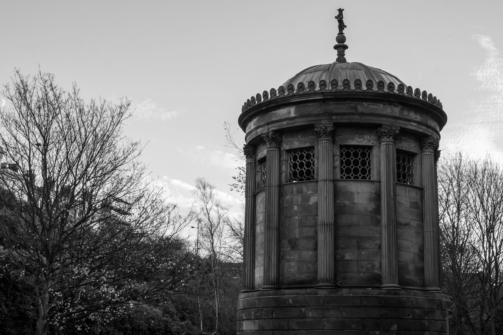 alexander david 5l JGtOXbCI unsplash scaled 1