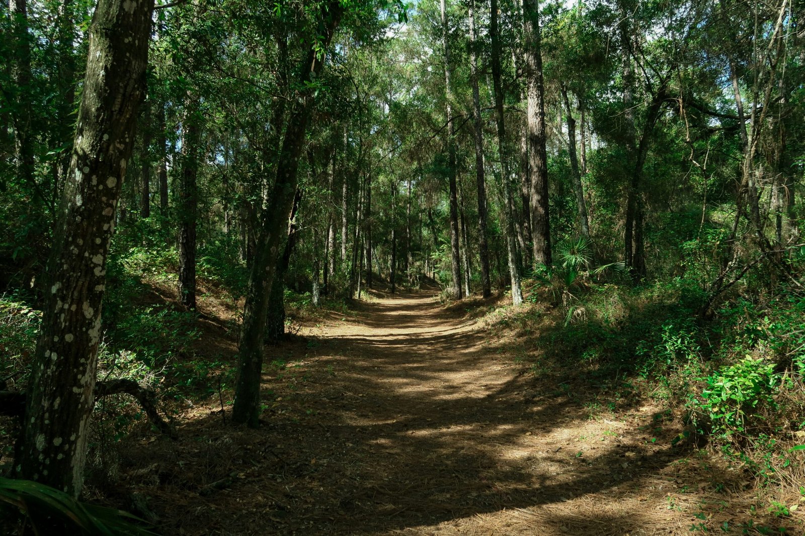 kayl photo HzaECVZ1dUE unsplash scaled 1