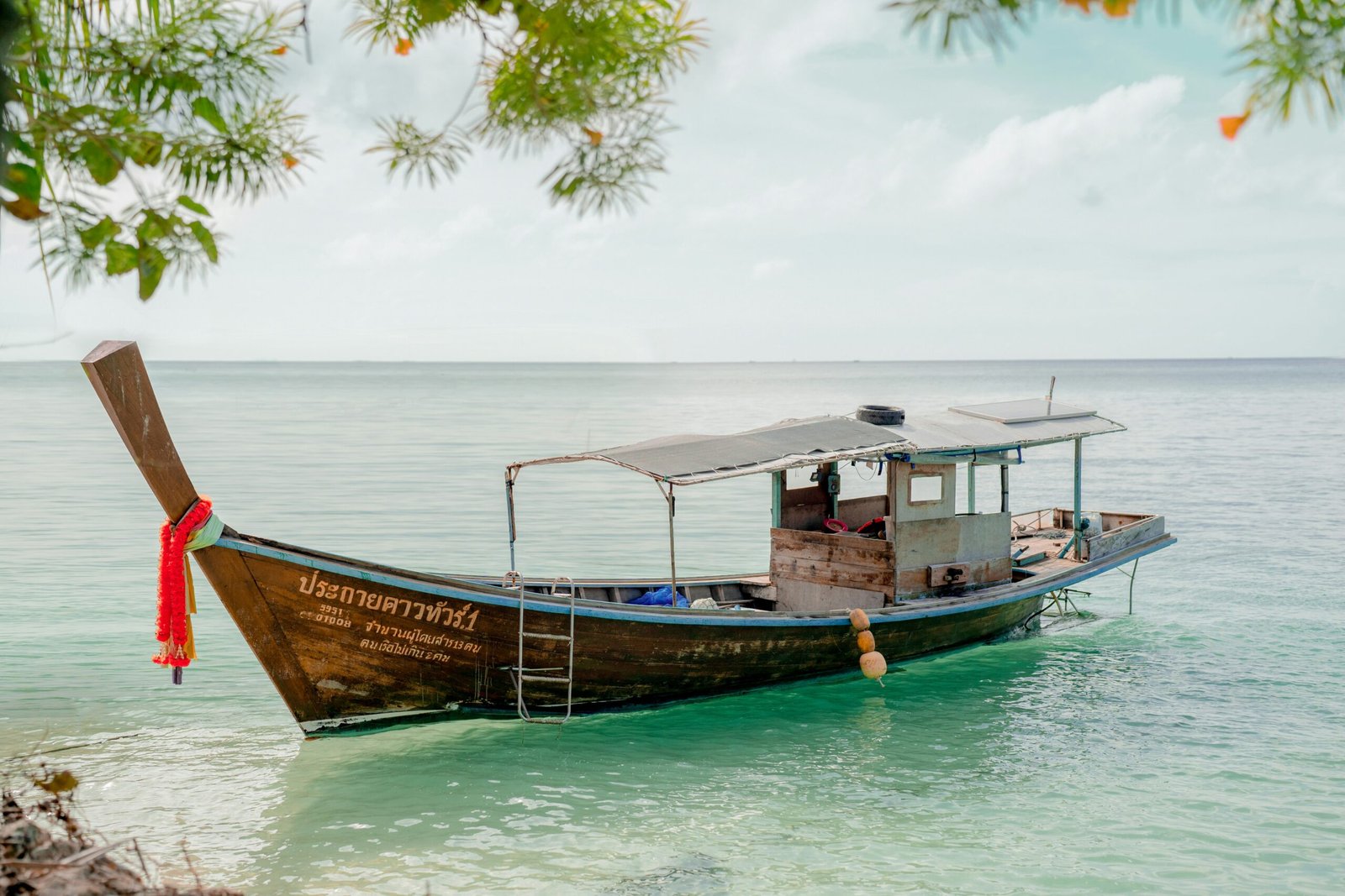 vaskar sam gmsJ13ZzLGA unsplash scaled 1