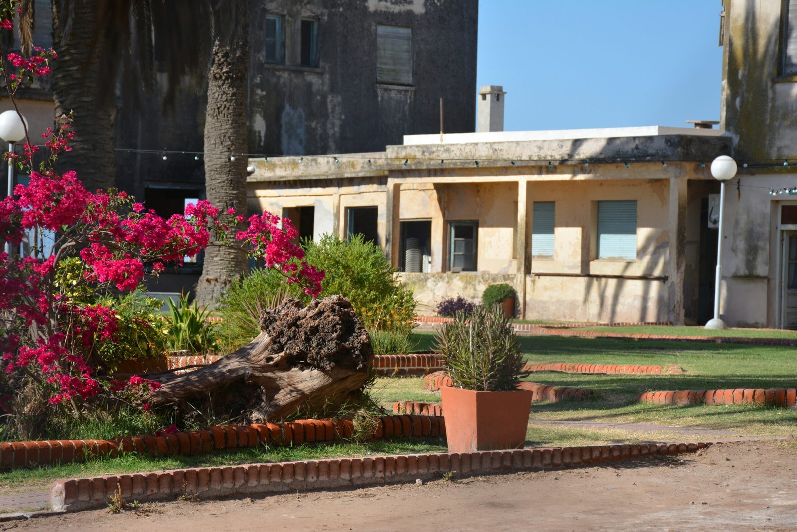 yamila arrascaeta ayLkrR8BKLo unsplash scaled 1